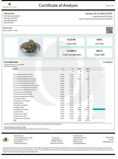 Indoor White CBG (Triploid)