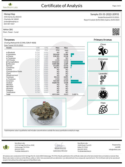 Indoor White CBG (Triploid)