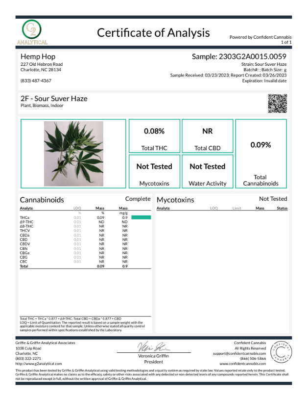 Indoor Sour Suver Haze (Triploid, "Seedless")