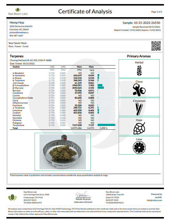 Indoor Sour Suver Haze (Triploid, "Seedless")